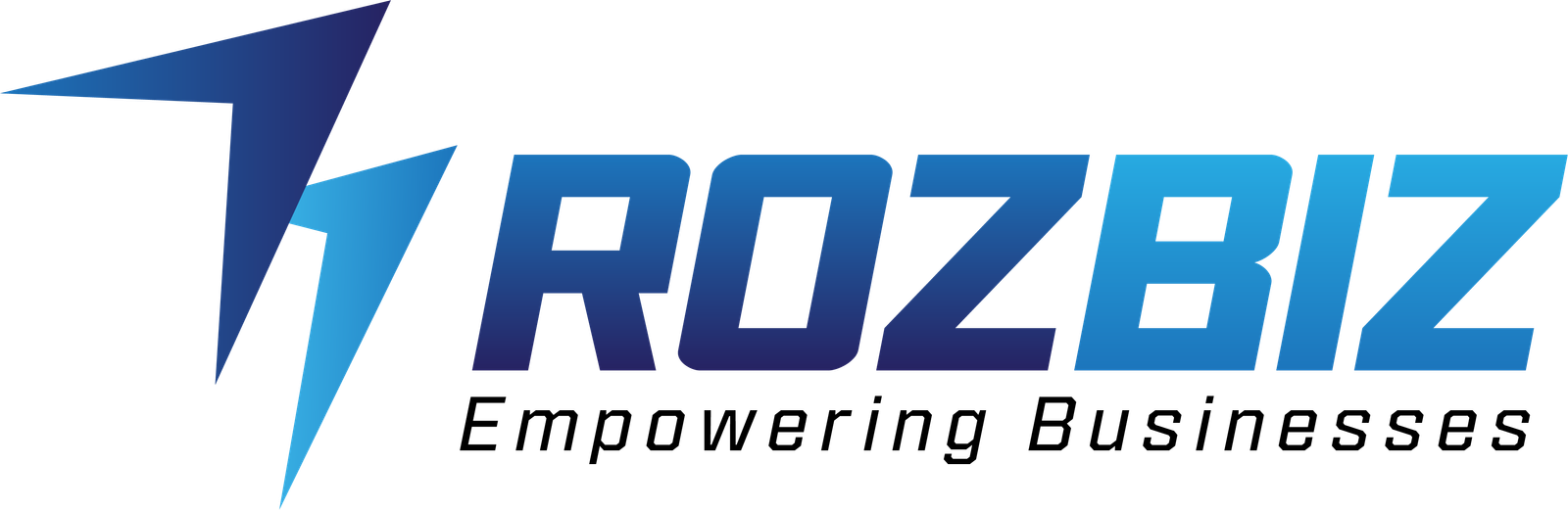 RozBiz Marketing | Expert SEO, Web Design, and Ads Solutions